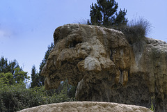 Fontaine pétrifiante de Réotier ( Hautes Alpes ).