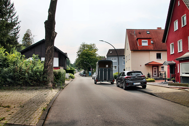 Distelkampstraße (Castrop-Rauxel) / 3.08.2024