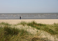 Blick über das Meer