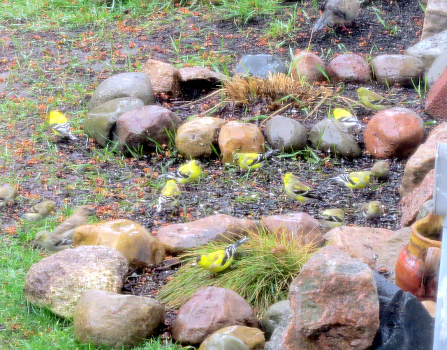 Pouring rain mixed with snow April 6th in Michigan