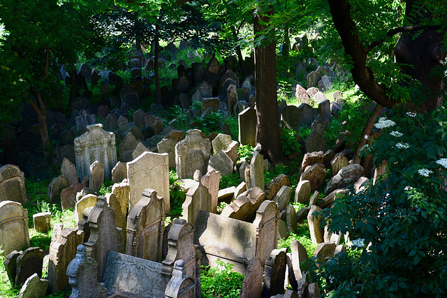 Prague 2019 – Jewish cemetery