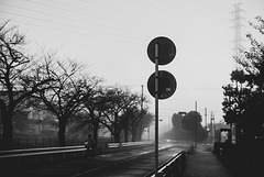 Foggy morning