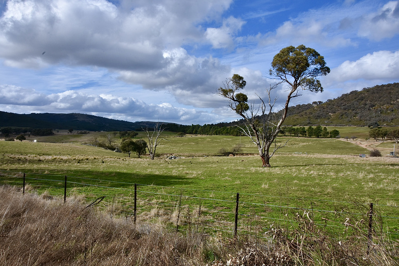 HFF from Canberra