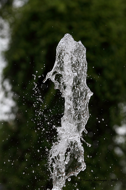 Fontäne im Rosensteinpark