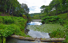 Trebah Garden, Cornwall