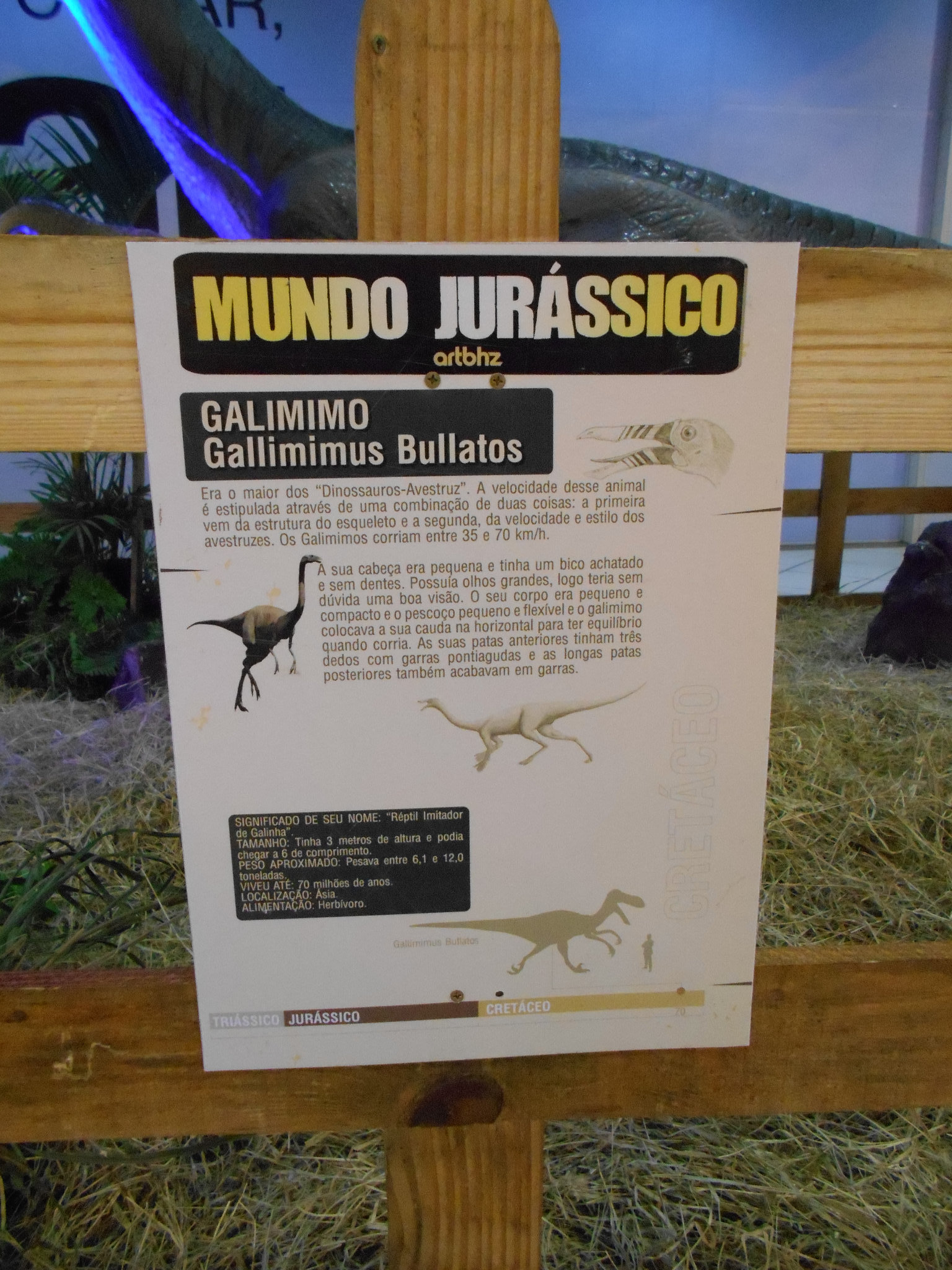 DSCN2836 - Gallimimus bullatos, Ornithomimidae Theropoda