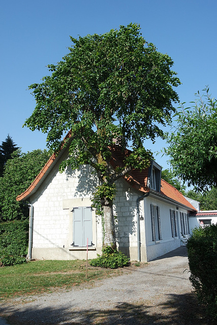 Petite maison de campagne