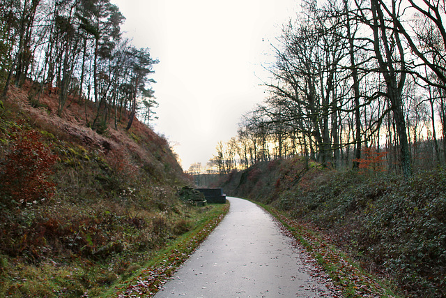 Radweg auf der ehem. Bahnstrecke Witten–Schwelm (Wetter) / 13.12.2020