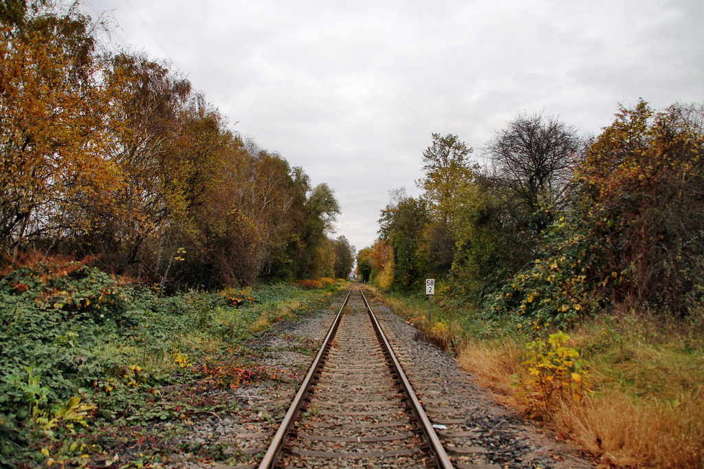 Auf dem Gleis der Ruhrtalbahn (Witten-Herbede) / 6.11.2021
