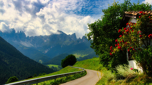 Blick auf den Rosengarten
