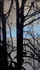 Window View