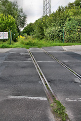 Gleise der stillgelegten Bahnstrecke Duisburg–Quakenbrück auf der Hegestraße (Gladbeck-Ellinghorst) / 14.08.2017