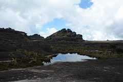 Venezuela, the Landscape of the Plateau of Roraima, Opens after Going up the South-West Ascent Trail