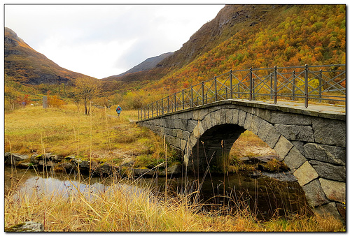 Brücke