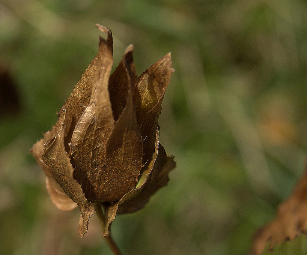 DSC09192 (2) 1