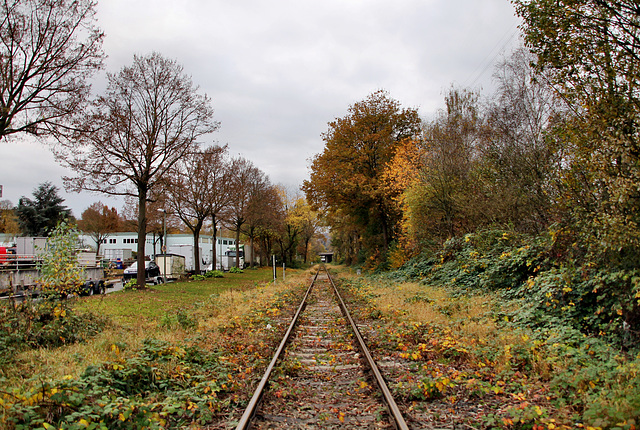 Ruhrtalbahn (Witten-Herbede) / 6.11.2021