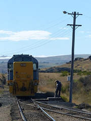 Taieri Gorge Railway (18) - 1 March 2015