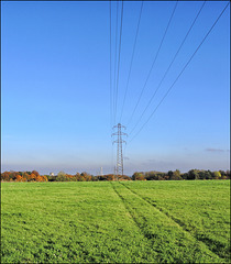 "The Power Lines"