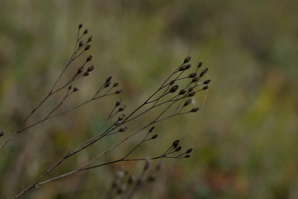 DSCF5404