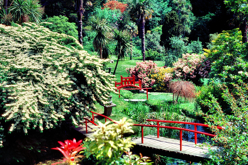 Japanischer Garten, Powerscourt Gardens, Wiklow, Irland, HFF