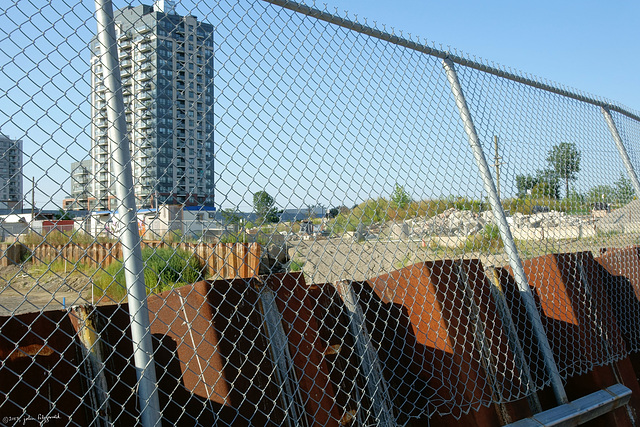 Happy Fence Friday