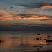 Zanzibar, Sunset over Indian Ocean