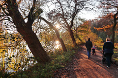 Herbstspaziergang