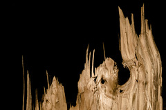 Horn Bad-Meinberg