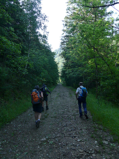 20230606 -08 Lozère tritons (59)