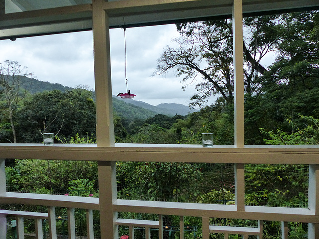 The veranda at Asa Wright, Trinidad