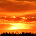 orange evening