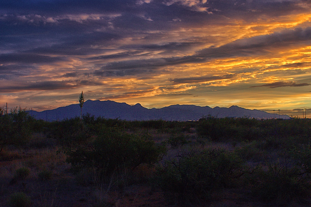 Huachuca Mountains