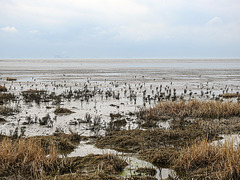 20180403 3406CPw [D~AUR]  Leybucht, Greetsiel