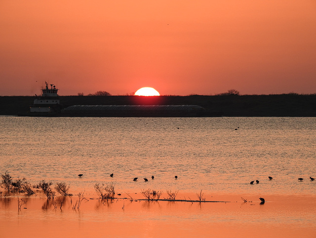 Day 3, Lady Lori boat trip, Rockport, Texas