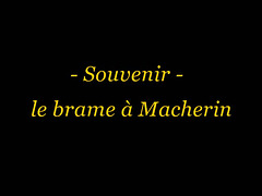 La nuit: le brame dans la plaine de Macherin.