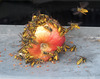 une pomme...