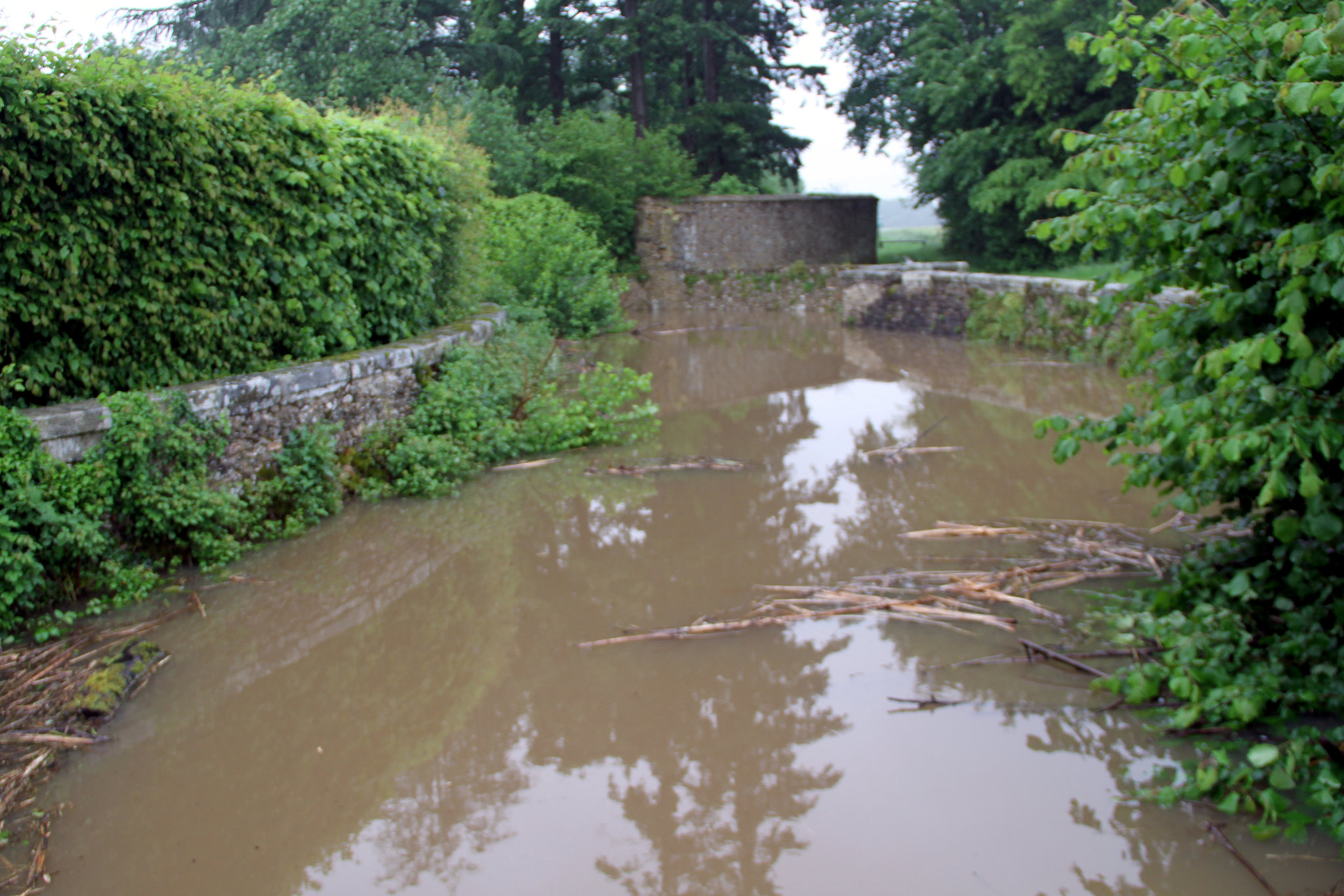 Les douves du château de Bombon