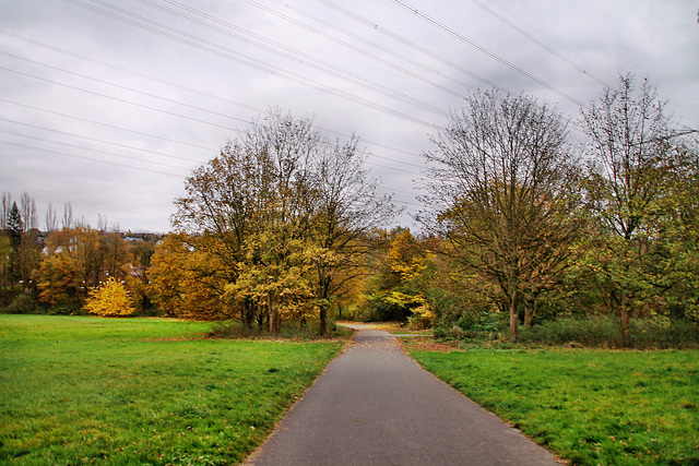 Ökologischer Park (Witten-Herbede) / 6.11.2021