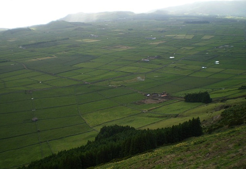 Towering view to agricultural fields at south.