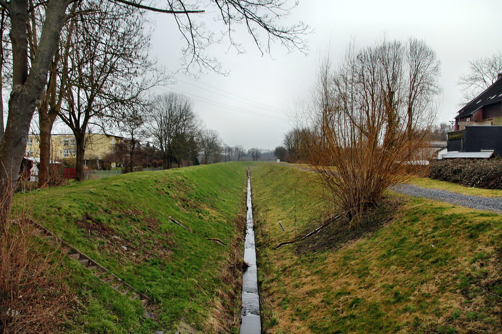 Köttelbecke am Grunewald (Dortmund-Scharnhorst) / 27.03.2018