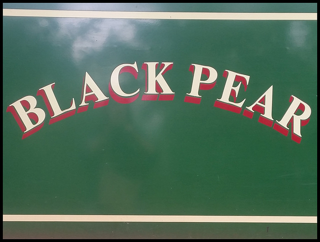 Black Pear