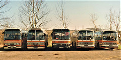 Suffolk County Council coaches parked in Bury St. Edmunds – 16 Feb 1990 (111-6)