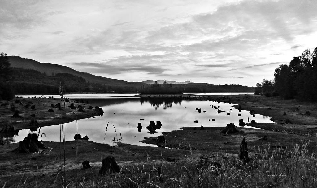 Alder Lake, WA. USA