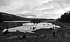 Alder Lake, WA. USA