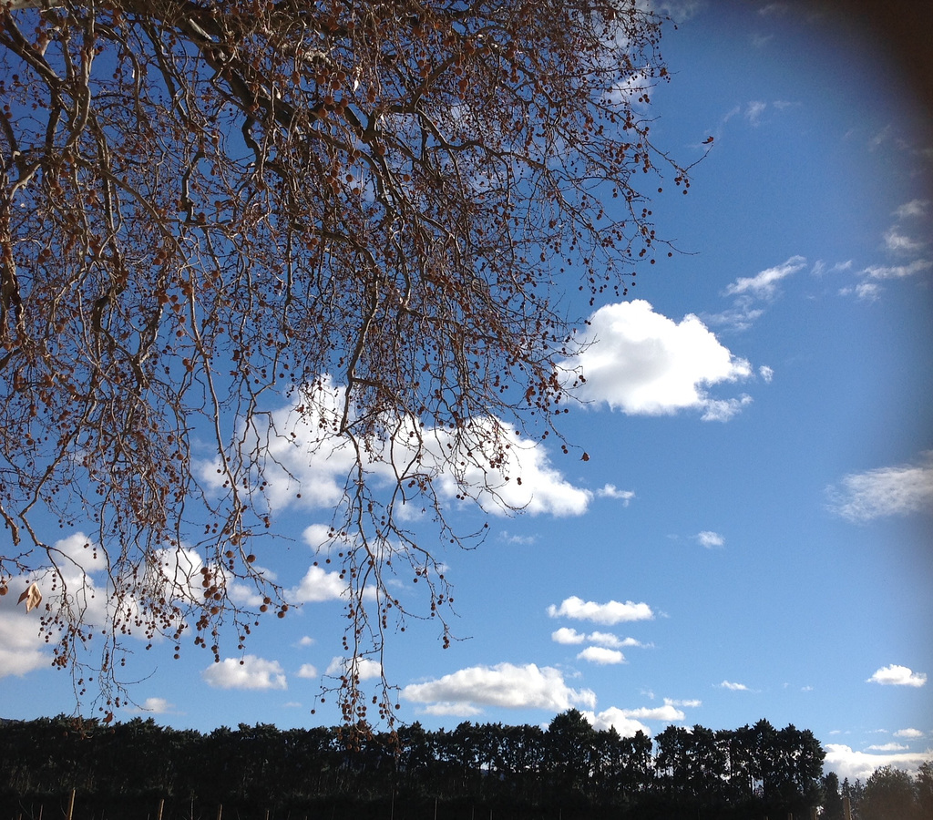 Plein ciel du Luberon