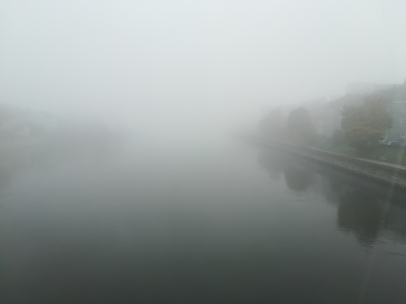 foggy danube