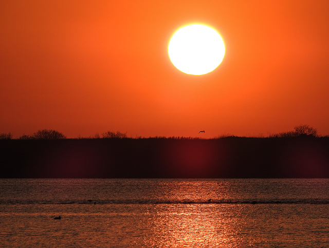 Day 3, sunrise on Lady Lori Whooping Crane boat trip