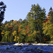 Lower Tahquamenon Falls