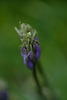 DSCF7927