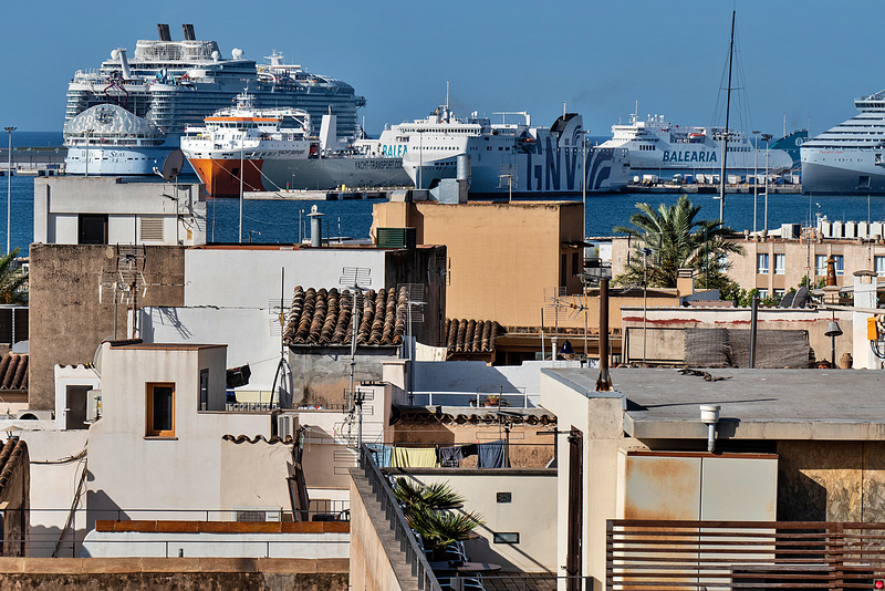 Wenn 7000 fremde Menschen plötzlich über die beschauliche Altstadt von Palma de Mallorca herfallen...